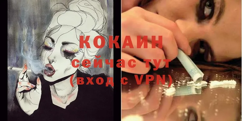 ссылка на мегу зеркало  Кропоткин  COCAIN VHQ 